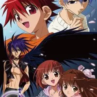 Постер аниме Код ангела