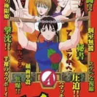 Постер аниме Мисс Критические Дни