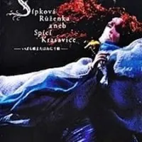 Постер аниме Спящая красавица