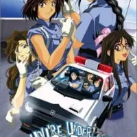 Постер аниме Вы арестованы! Специальное издание